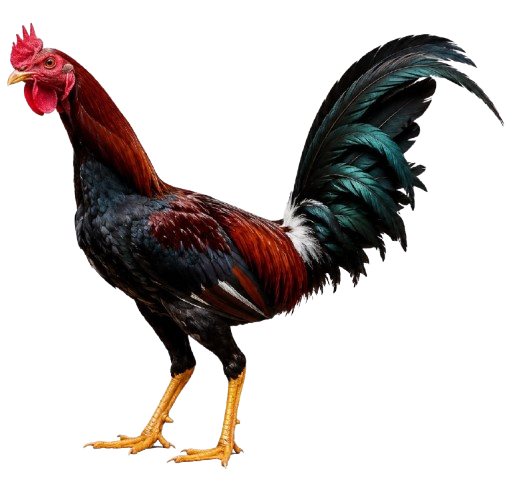 Pedigree McLean